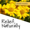 Arnica Plus® 2 oz - Image 3